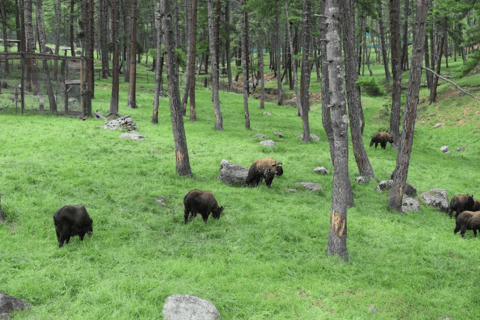 All Inclusive Thimphu Full or Half Day City Tour with Lunch