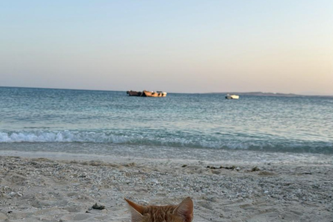 Hurghada: Private Speedboat to Magawish Island 8-hour Private Speedboat With Lunch