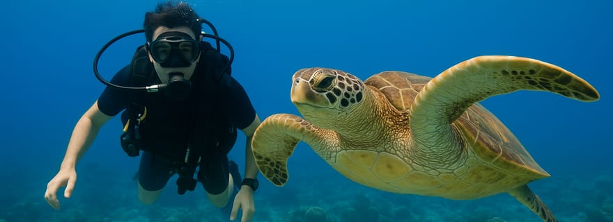 Koh Tao : expérience de plongée sous-marine pour débutants avec équipement