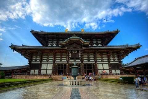 Excursión de un día a Kioto y Nara desde Osaka/Fushimi Inari, Arashiyama