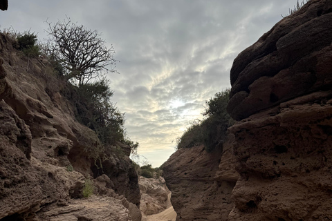 Agadir: Sinec Canyon Guided Tour with Sandboarding