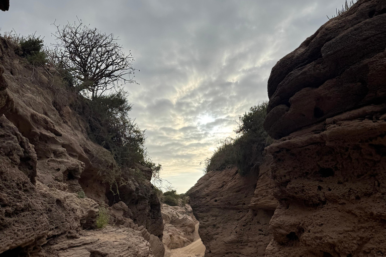 Agadir: Sinec Canyon Guided Tour with Sandboarding