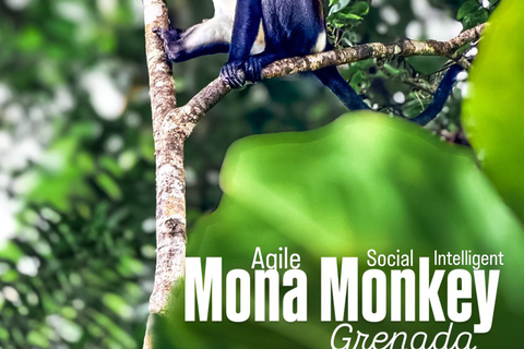 Grenada: Rivier Tubing en Grand Etang Meer Tour