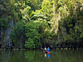 Krabi: Kayak Adventure through Ao Thalane Mangrove Forest