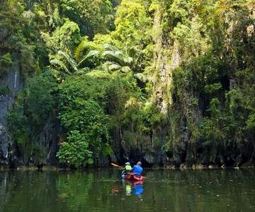 Krabi: Kajakavontuur door het mangrovebos van Ao Thalane