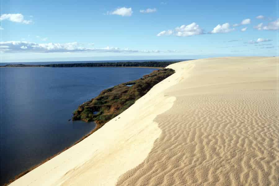 Ab Vilnius oder Kaunas: Kurische Nehrung, Nida und Dünen. Foto: GetYourGuide Ab Vilnius oder Kaunas: Kurische Nehrung, Nida und Dünen. Foto: GetYourGuide