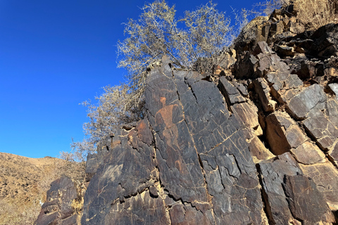 Bukhara: Nurata, Sarmyshsoy Petroglyphs & Gijduvan Day Trip Tour to Sarmyshsoy Gorge with a Small Group