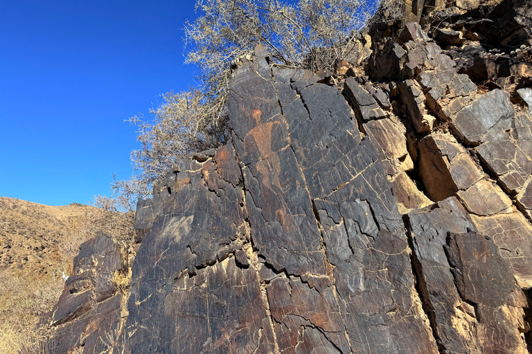Bukhara: Nurata, Sarmyshsoy Petroglyphs & Gijduvan Day Trip Tour to Sarmyshsoy Gorge with a Small Group