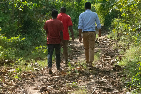 Zanzibar: las Masingini, pszczelarstwo i wycieczka na plażę MtendeZanzibar: Las Masingini, pszczelarstwo i wycieczka na plażę Mtende