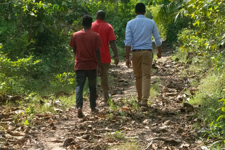 Zanzibar: las Masingini, pszczelarstwo i wycieczka na plażę MtendeZanzibar: Las Masingini, pszczelarstwo i wycieczka na plażę Mtende