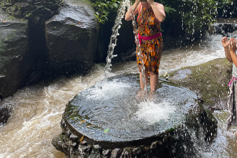 Bali: Tour del villaggio di Taro e del tempio dell&#039;acqua di sorgente sacraTour del Tempio dell&#039;Acqua Santa con trasporto da Ubud