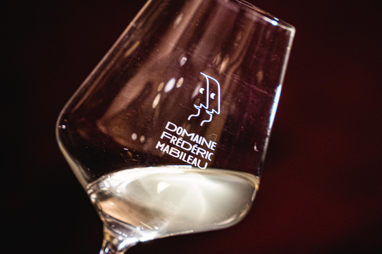 Saint-Nicolas-de-Bourgueil: Food and Wine Pairing Tour