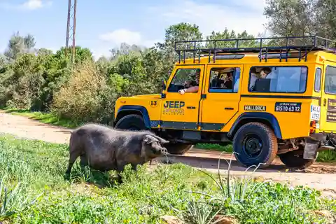 Mallorca : Aventure 4x4 - Safari à la campagne et barbecue au ranch