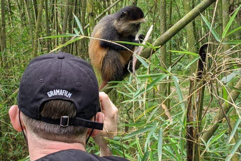 Au départ de Kigali : Safari de 2 jours au Rwanda pour faire du trekking avec les gorilles