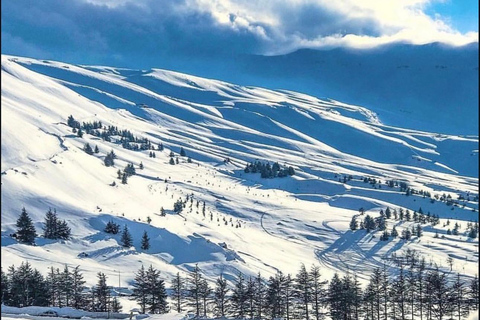 Beirut: Cedars of God, Ehden & Lake Private Tour with Lunch