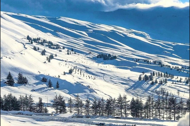 Beirut: Cedars of God, Ehden & Lake Private Tour with Lunch