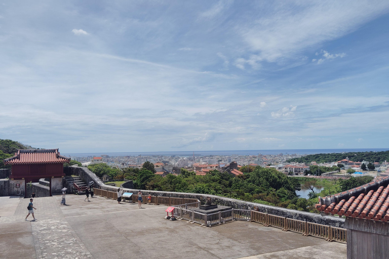 Naha: Shurijo Castle & Tamaudun Guided Walking Tour Morning visit