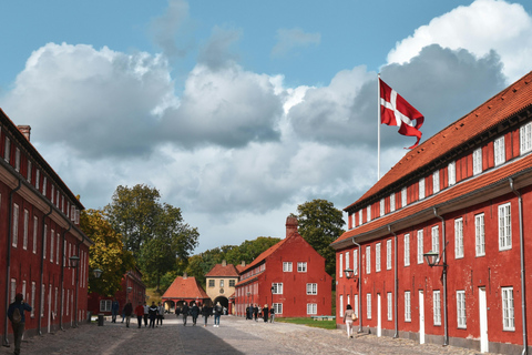 Copenaghen: Tour privato a piedi con il Palazzo di Amalienborg