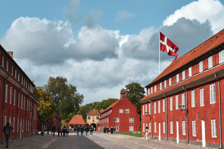 Copenhague: Excursão a pé particular com o Palácio de Amalienborg