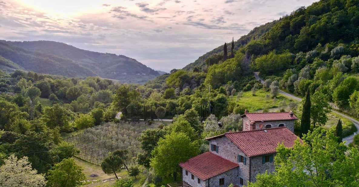 Afbeelding 1 van Florence: wijnproeverij in Toscane met lunch
