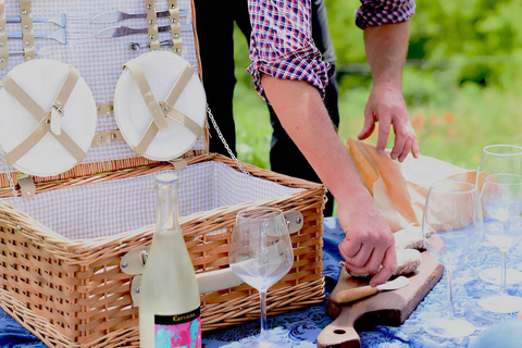 Langhe: Alpaca Walk, Farm Visit, and Traditional Picnic