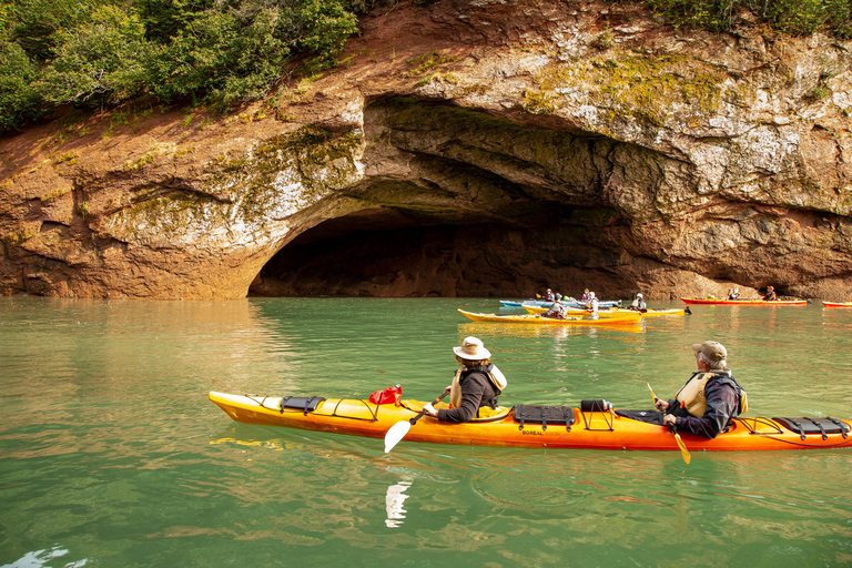 Saint John: Guided Kayaking Tour of St. Martins Sea Caves Sea Caves Half-Day Kayak Tour