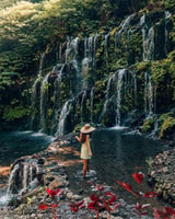 Bali Northern Best Cachots Tour - Housity