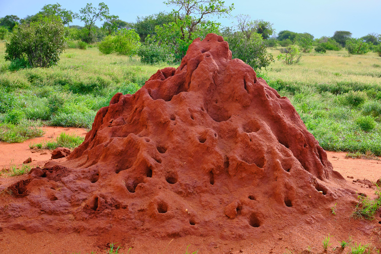 Mombasa:2-Day Tsavo East Wildlife Safari with Overnight Stay