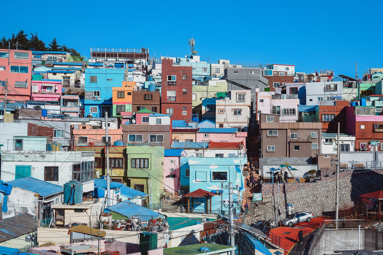 Busan: City Highlights & Street Food Tour Cruise Port Pickup Shared Tour, Meet at Busan North Port Cruise Terminal