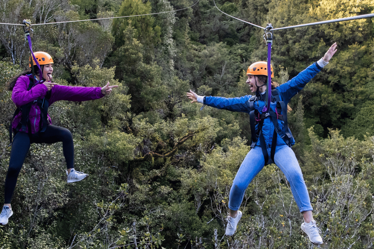 Rotorua: Ultimate Zipline, 400m Tandem Race & Cliff Walk