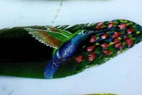 Quito Historic Center: Poncho Museum & Finger Painting Workshop & Souvenir Quito's Historic Center: Poncho Museum, Finger Painting Workshop, and Souvenir