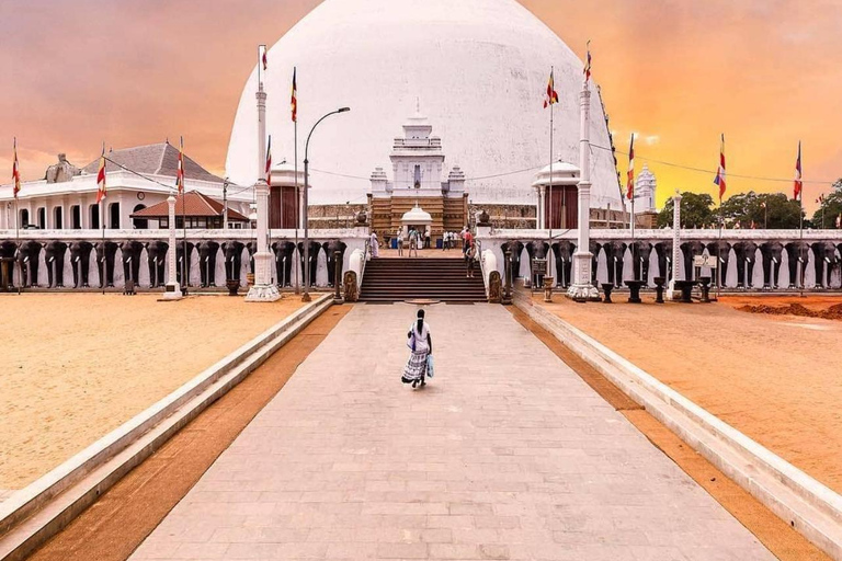 Negombo to Anuradhapura Transfer with Wilpattu Safari