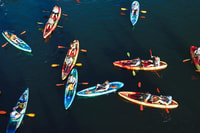 Austin, Kayaking Tour por el centro de Barton Springs - Housity