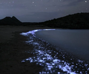 Cat Ba : Lan Ha Bay Bioluminescent Plankton Kayak Boat Tour