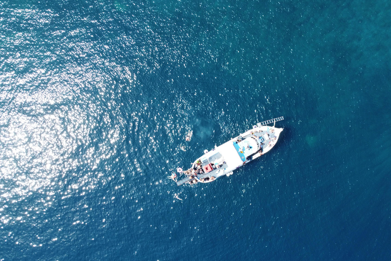 Northeast Corfu Coastal: Swim, Snorkel with lunch & drinks