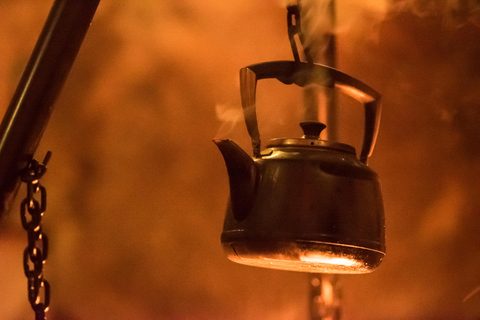 Arctic Highlights: Dogsledding & Reindeer Feeding Combo