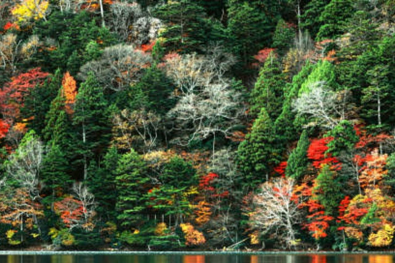 From Tokyo To Nikko Private Day Tour With English Guide