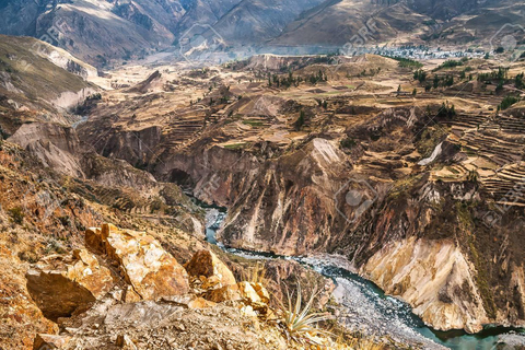 Excursion d&#039;une journée au Canyon de Colca à Arequipa + Transfert à Puno