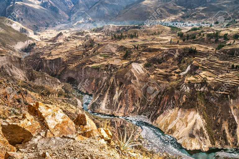 Excursion d&#039;une journée au Canyon de Colca à Arequipa + Transfert à Puno