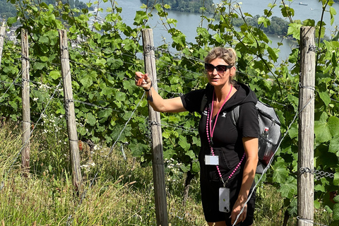 Rüdesheim: Die 0,0 Promille Weinproben Tour