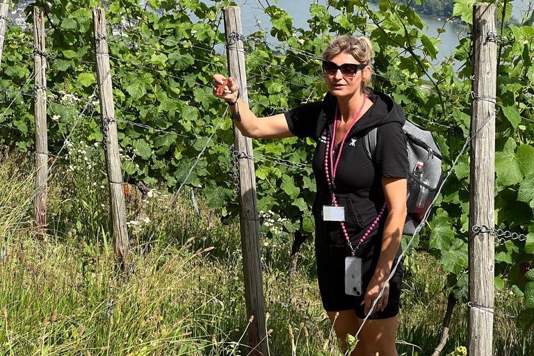 Rüdesheim: Die 0,0 Promille Weinproben Tour