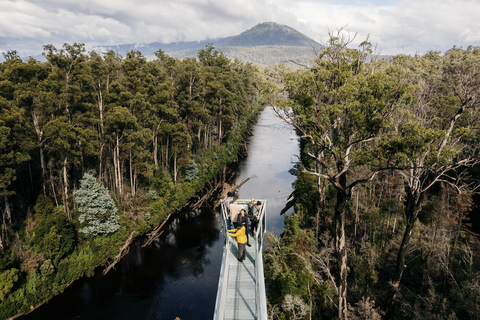 Huon Valley: Tahune Adventures Airwalk Site Entry Ticket