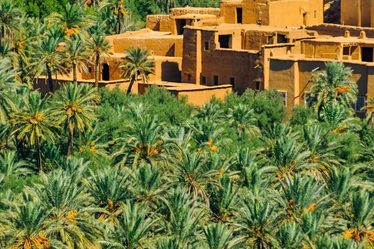 From Marrakech: 10-Day Morocco Highlights Tour