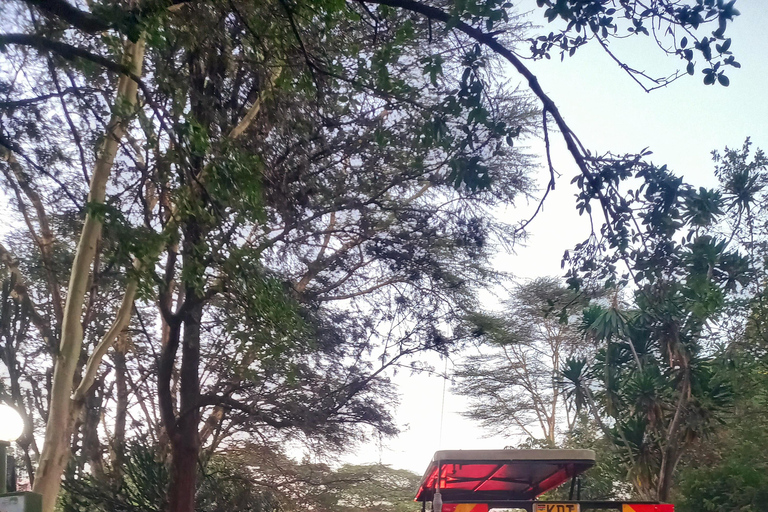 Nairobi: Private Layover Safari with Airport Pickup