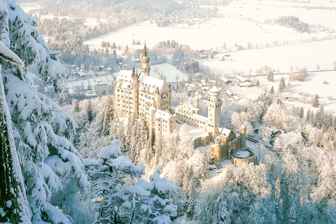 From Munich: Neuschwanstein Castle Full-Day Trip From Munich: Neuschwanstein Castle Full-Day Trip in English