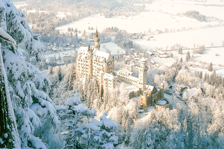 From Munich: Neuschwanstein Castle Full-Day Trip From Munich: Neuschwanstein Castle Full-Day Trip in English