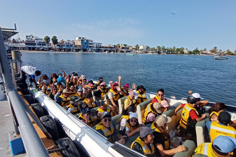 Vanuit Lima: 2 Dagen Nazca Lijnen, Paracas Ica HuacachinaVANUIT LIMA: Paracas Ica Huacachina Nazca 2D/1N