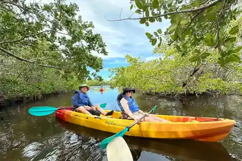 Robinson Preserve Mangrove Tour