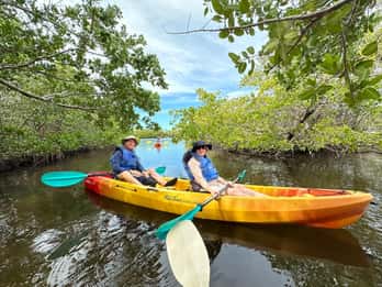 Passeio nos manguezais da Robinson Preserve