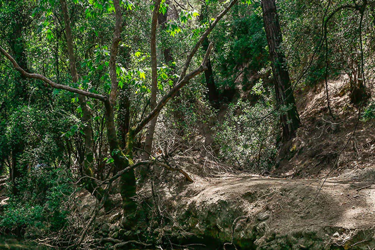 From Rhodes: Bus Tour to Lindos and the Seven Springs